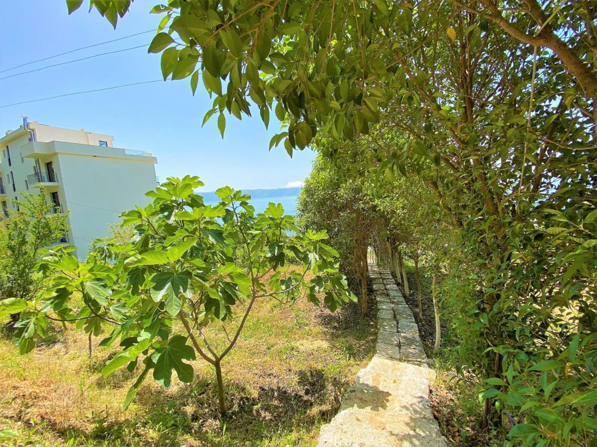 Ramo'S Hilltop Retreat With Kitchenette And Patio - 1St Vlorë Екстериор снимка